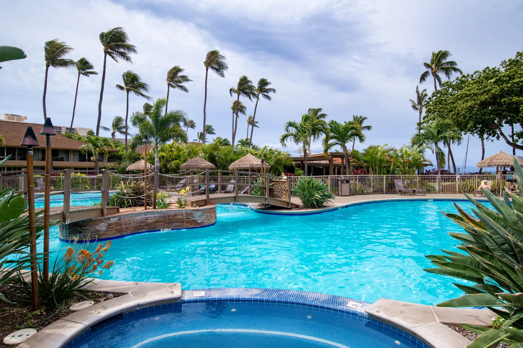 Una gran piscina al aire libre está rodeada de palmeras y vegetación tropical.