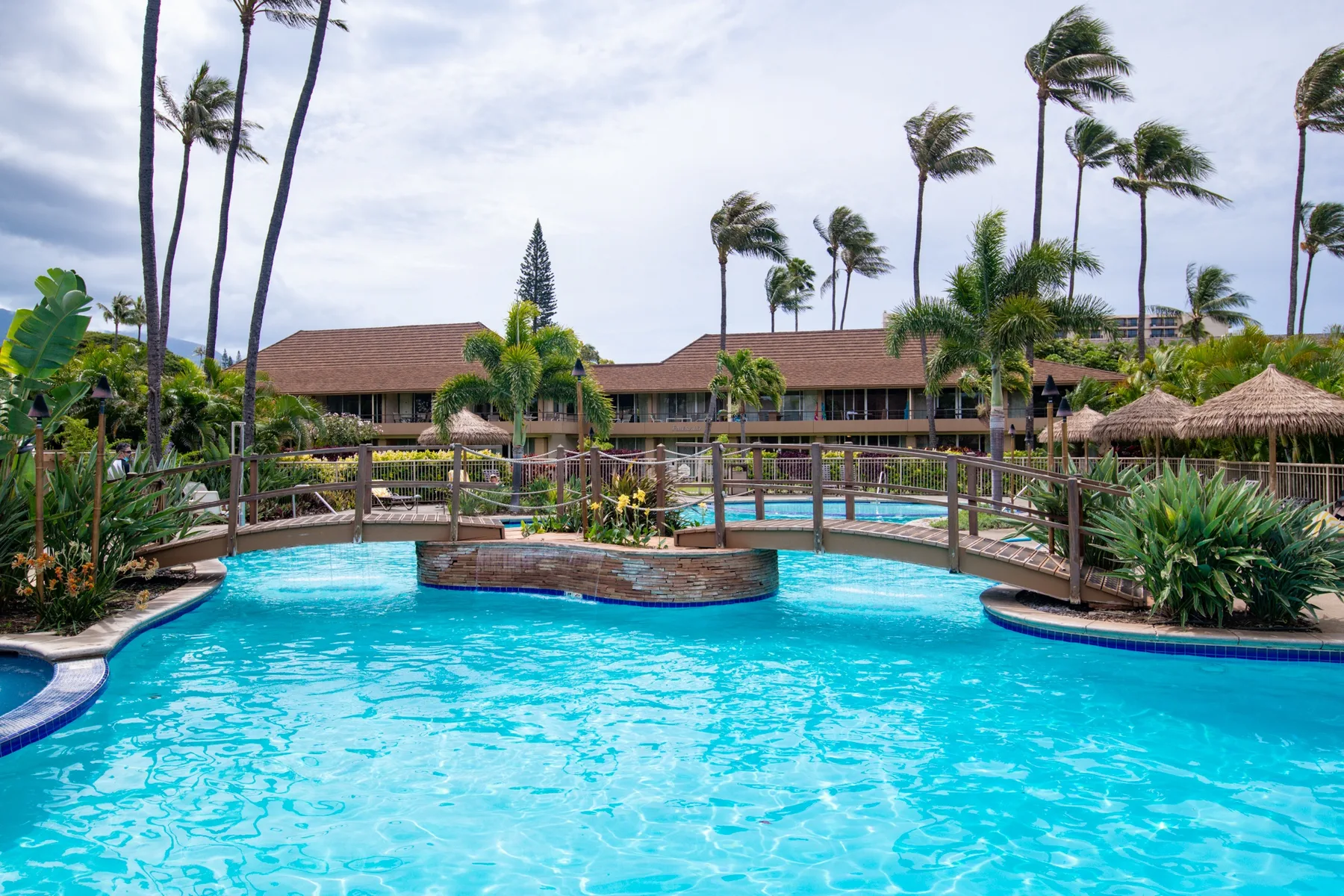Una piscina con una pequeña isla con plantas y palmeras alrededor.
