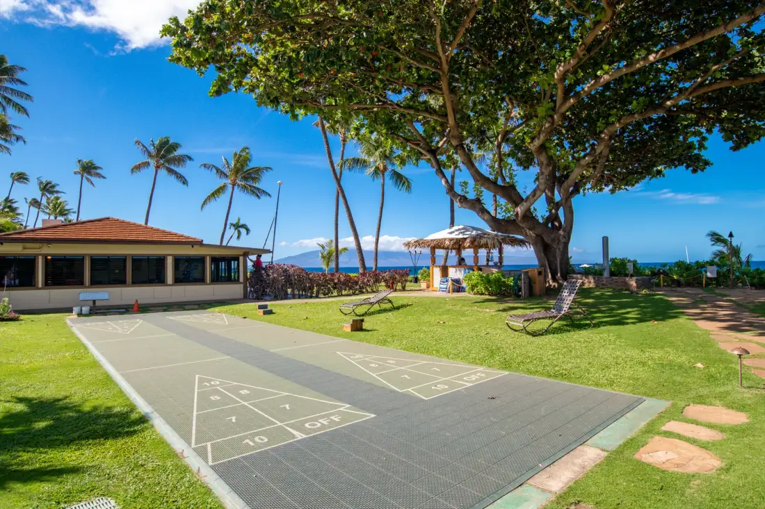 Una zona recreativa al aire libre junto al mar tiene una cancha marcada, palmeras y un área de descanso con sombra.