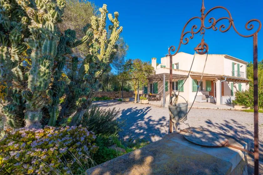 Una casa está junto a un patio pavimentado con plantas en flor y un cactus grande.