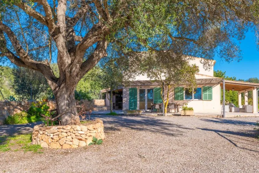 Un edificio blanco bajo se alza junto a un gran árbol en un patio de grava.