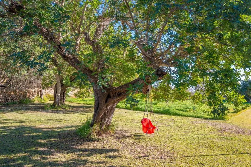 Un árbol frondoso da sombra a una zona verde al aire libre con un columpio rojo.