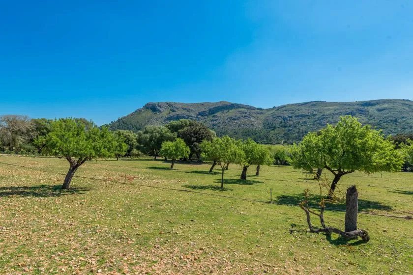 Un campo abierto con árboles dispersos y colinas a lo lejos.