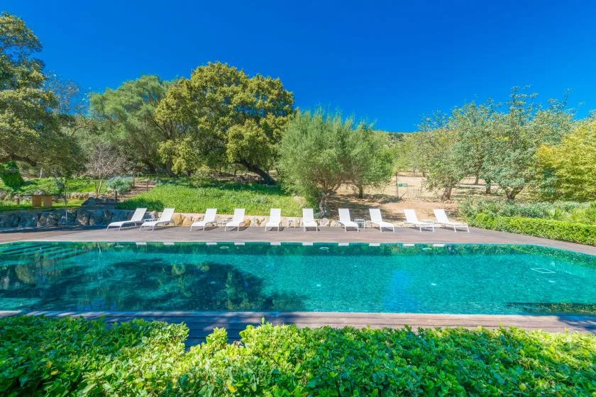 Una piscina con asientos de descanso está rodeada de vegetación bajo un cielo despejado.