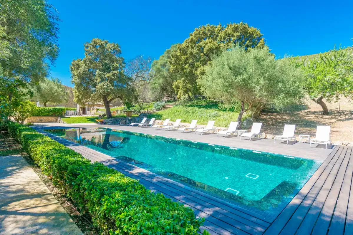 Una piscina al aire libre está rodeada de asientos y árboles frondosos.