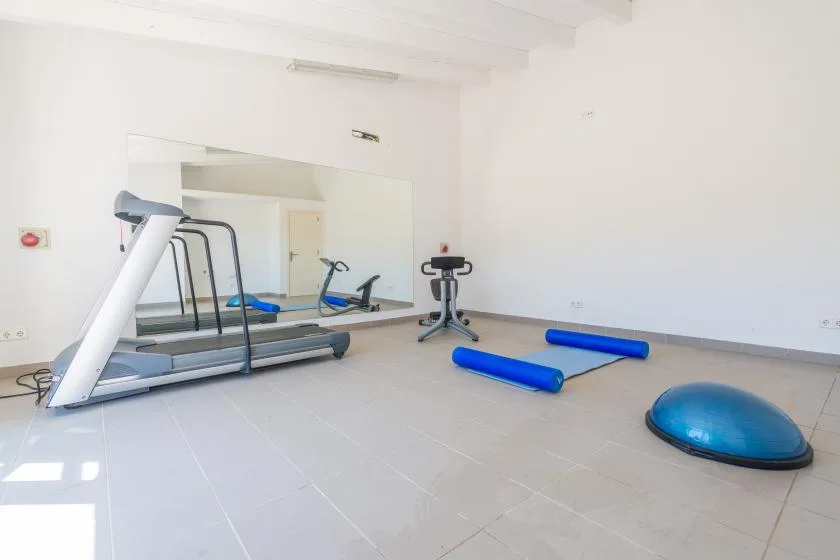 Una sala de ejercicios luminosa con cintas de correr, colchonetas azules y equipo de equilibrio.