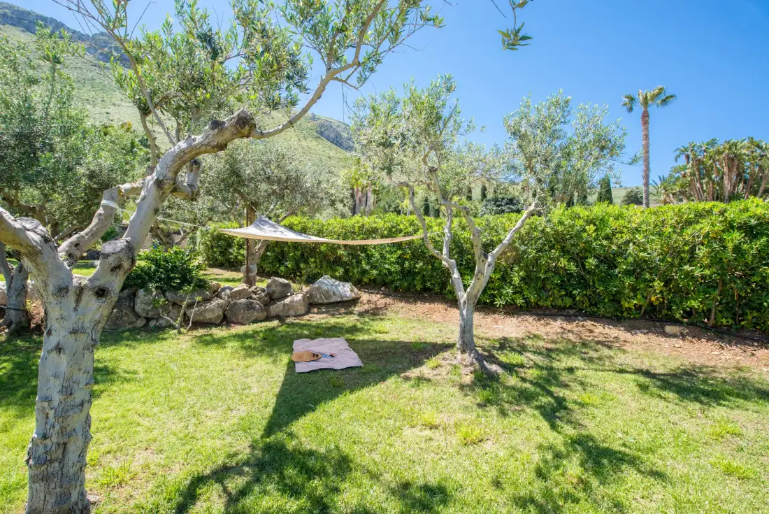 A sunny garden with trees, a grassy lawn, and a shaded sitting area.