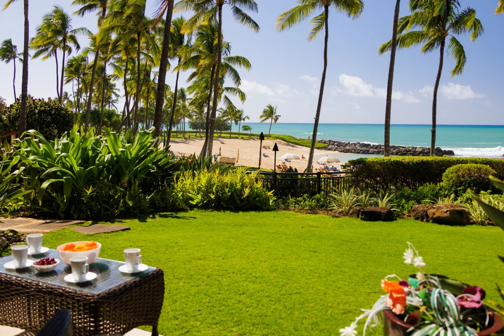 Un jardín tropical con césped da a una playa de arena y al océano.