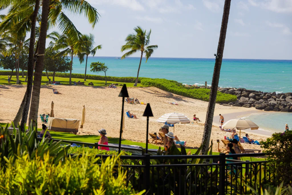Una playa tropical con palmeras, arena y agua turquesa.