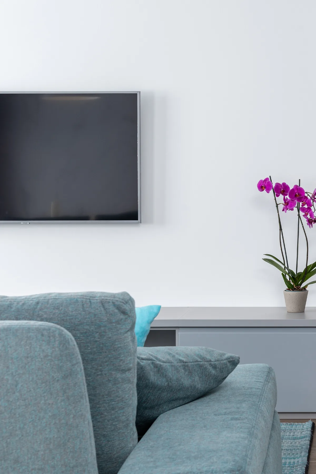Smart TV