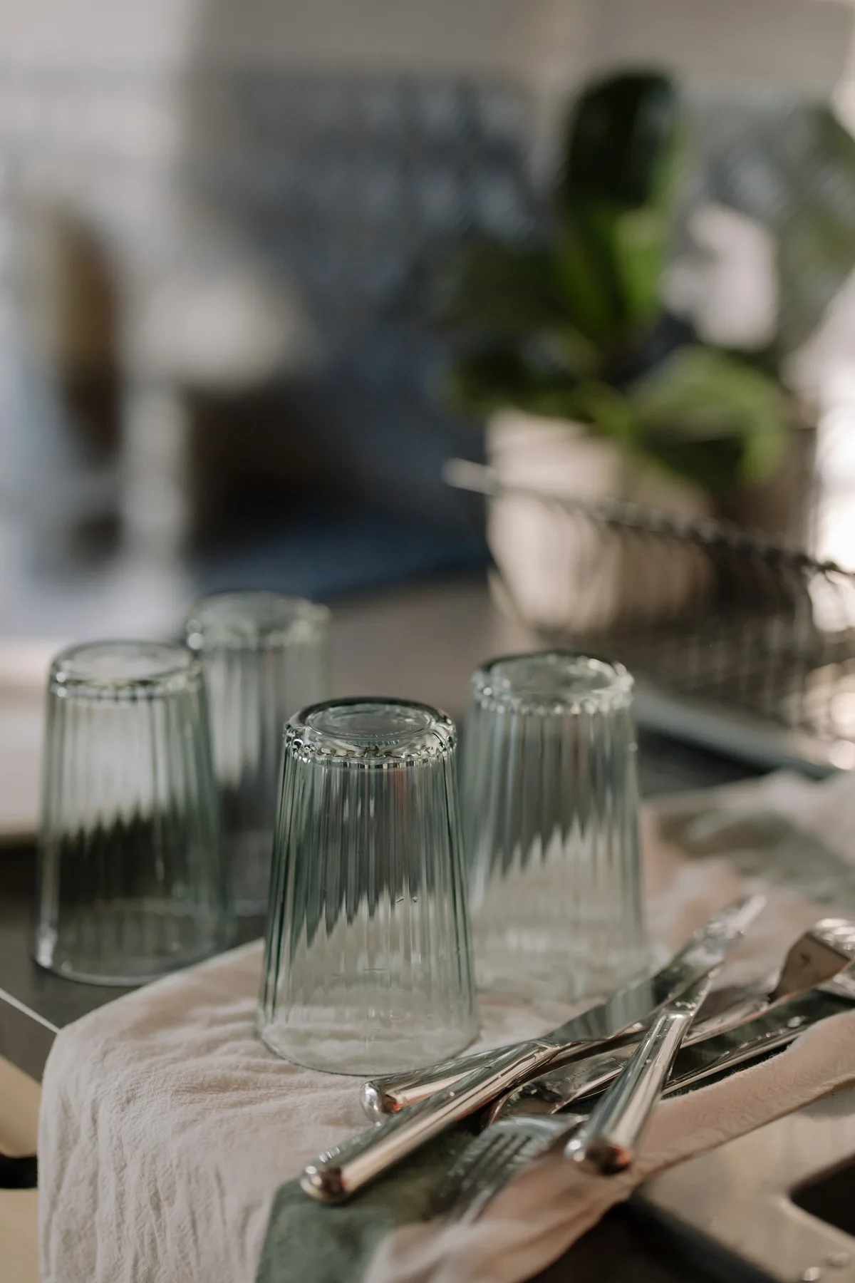 Dining essentials