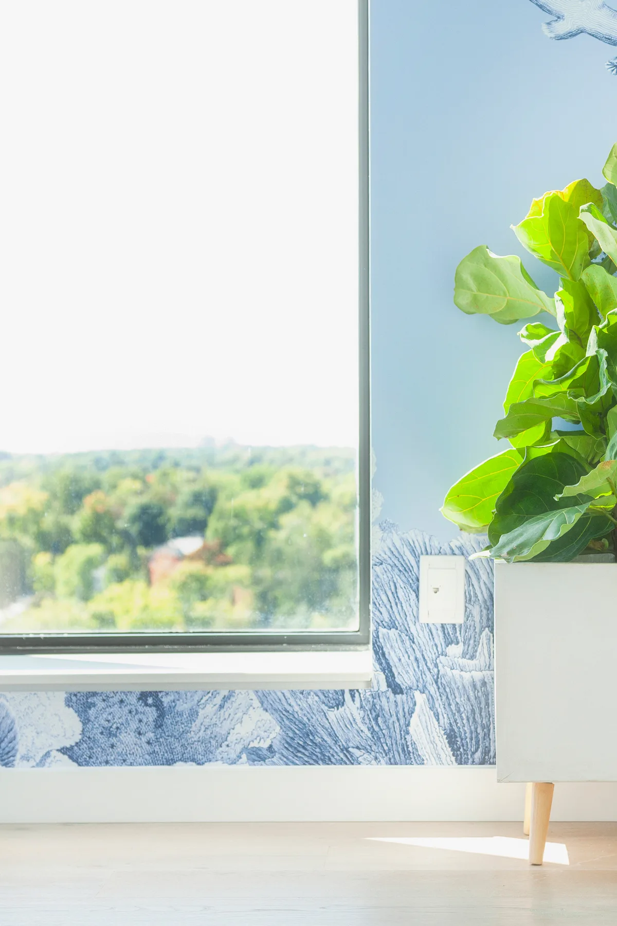 Floor-to-ceiling windows