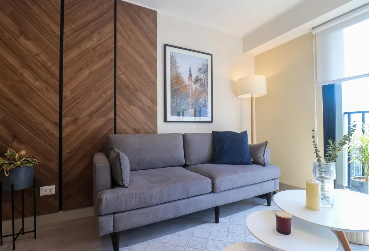 Charming 1BR in San Isidro