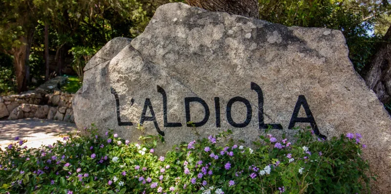 A large stone sign stands among flowering plants and trees.