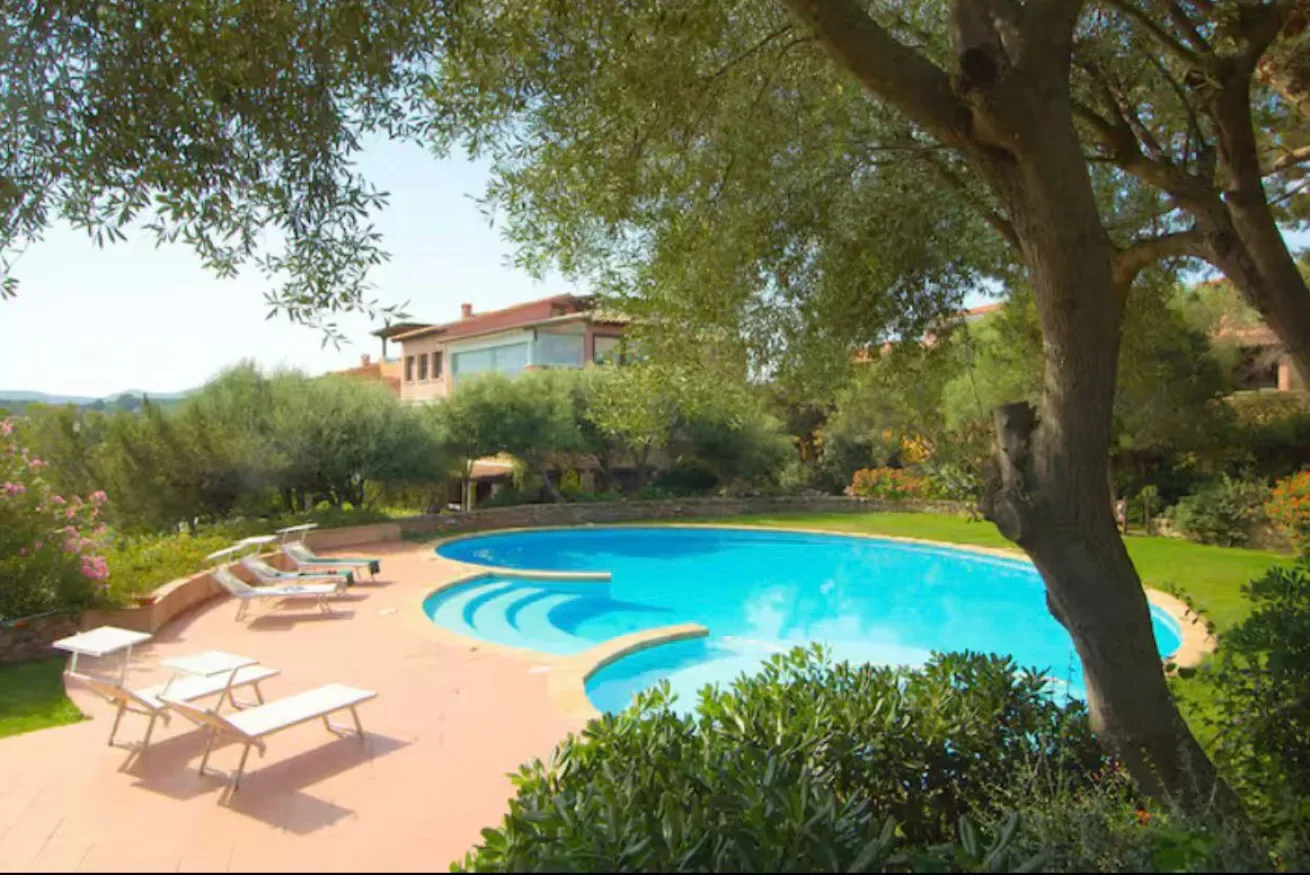 An outdoor swimming pool is surrounded by a sunny patio and leafy trees.