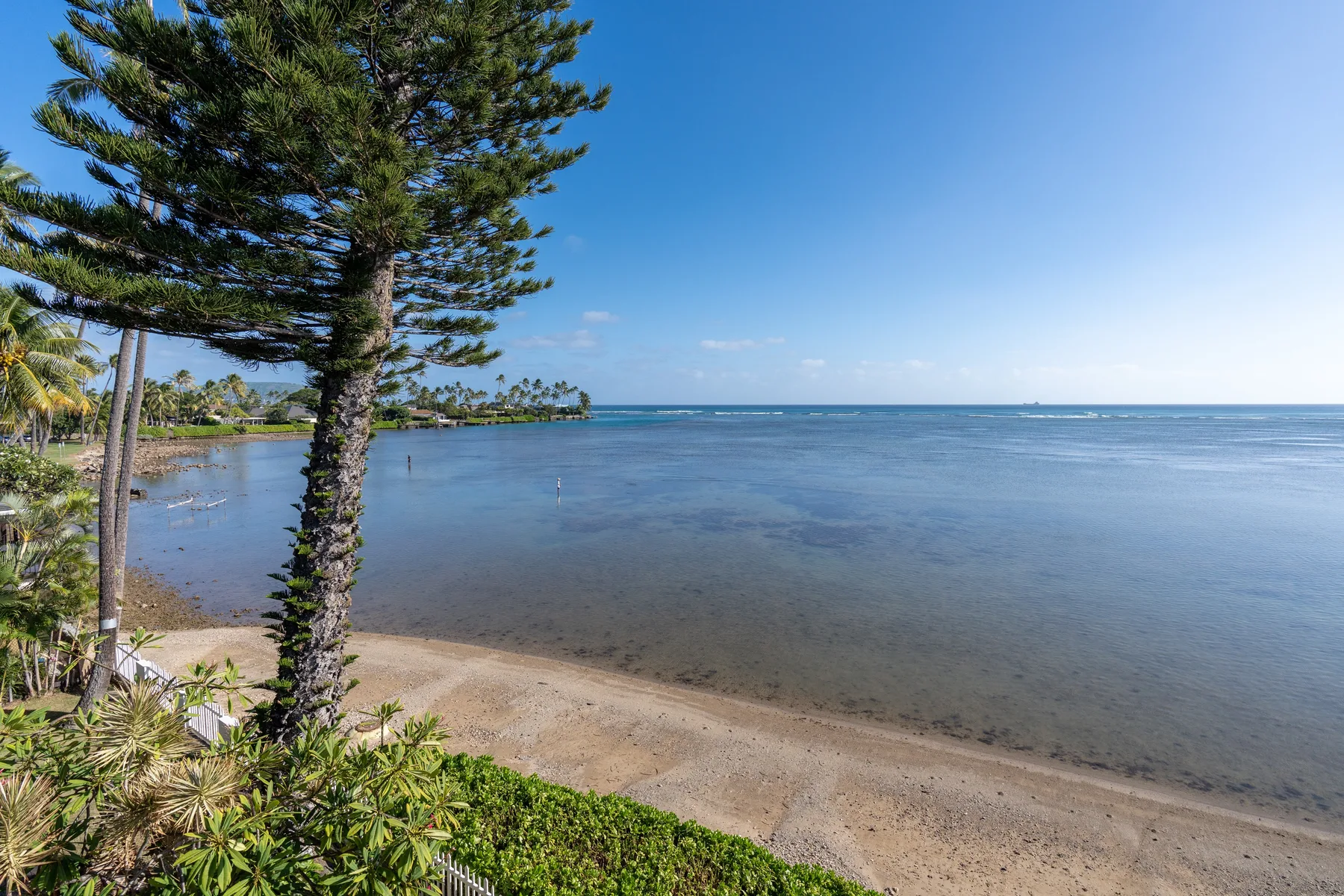 A calm shoreline with shallow water and trees along the beach.