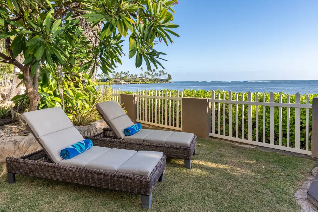 Outdoor seating beneath a leafy tree overlooks the ocean beyond a fence.