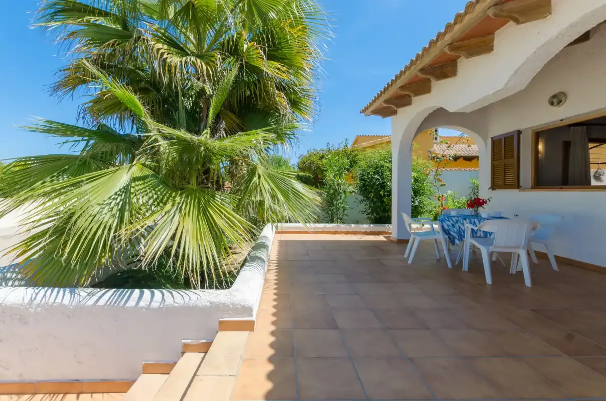 Un patio soleado de baldosas con asientos al aire libre junto a una gran palmera.