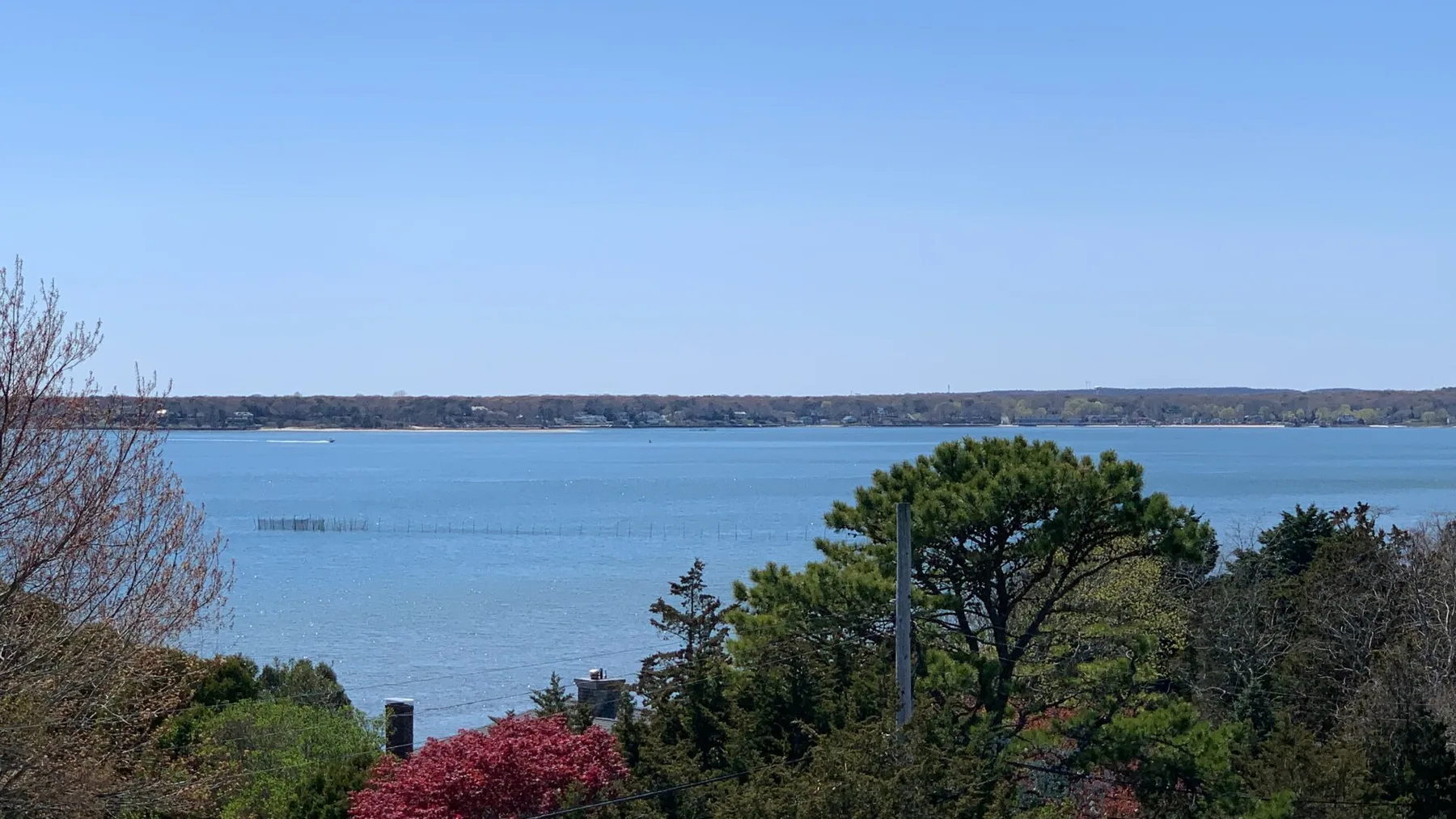 Una amplia vista del lago se extiende más allá de árboles y arbustos bajo un cielo despejado.