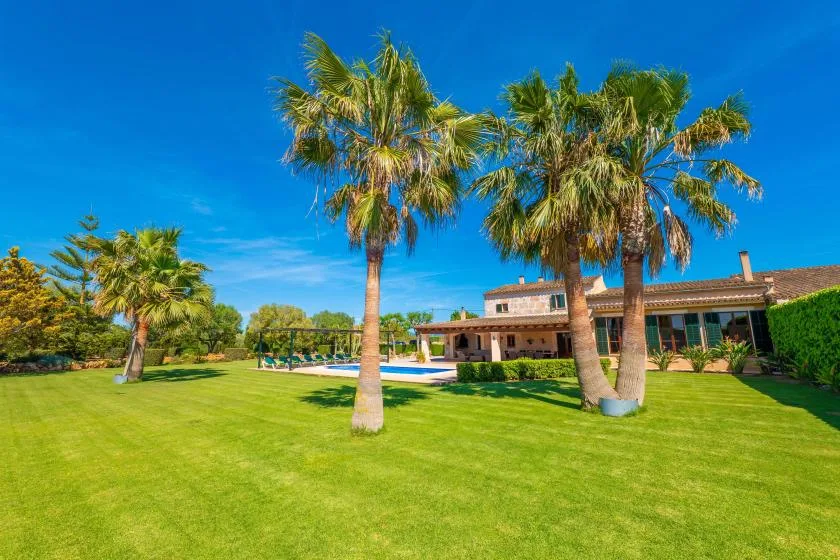 Un jardín con palmeras, una piscina y un edificio bajo un cielo despejado.