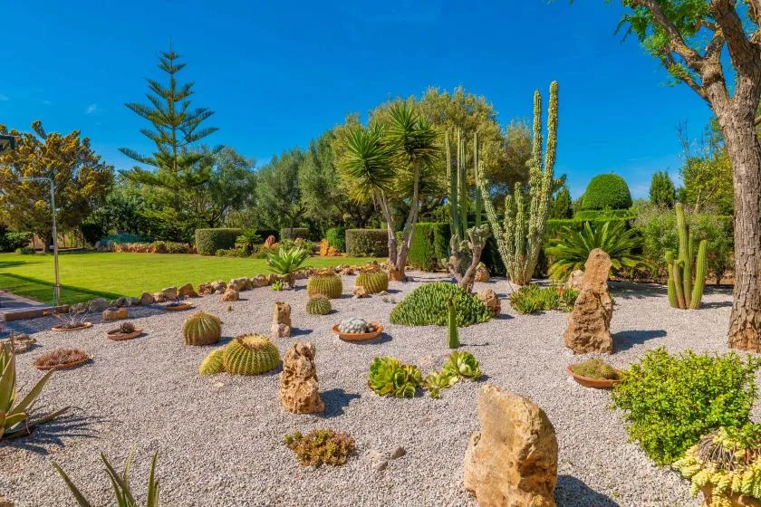 Un jardín paisajístico presenta senderos de grava, cactus y vegetación.