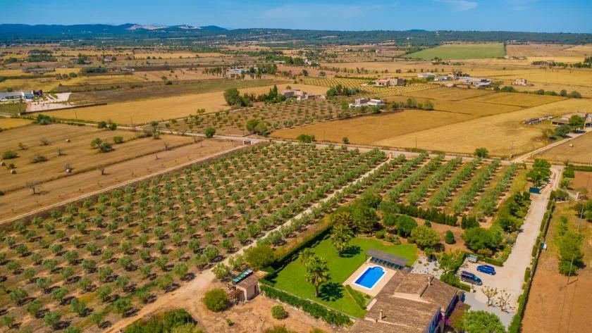Vista aérea de una propiedad rural con piscina entre campos de cultivo.
