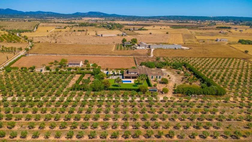 Una vista aérea de huertos y campos se extiende hacia colinas lejanas.