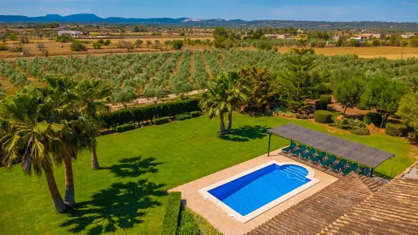 Una piscina al aire libre está junto a un césped, con huertos y campos al fondo.