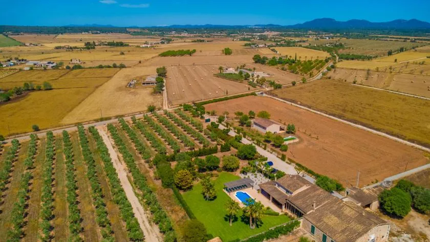 Una vista aérea muestra campos cultivados y un huerto alrededor de una propiedad rural.