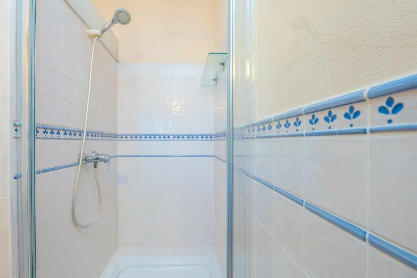 Una zona de ducha alicatada con cenefa azul decorativa y una ducha de mano.