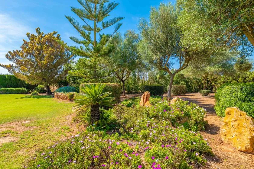 Un jardín paisajístico con plantas floridas, árboles y césped.