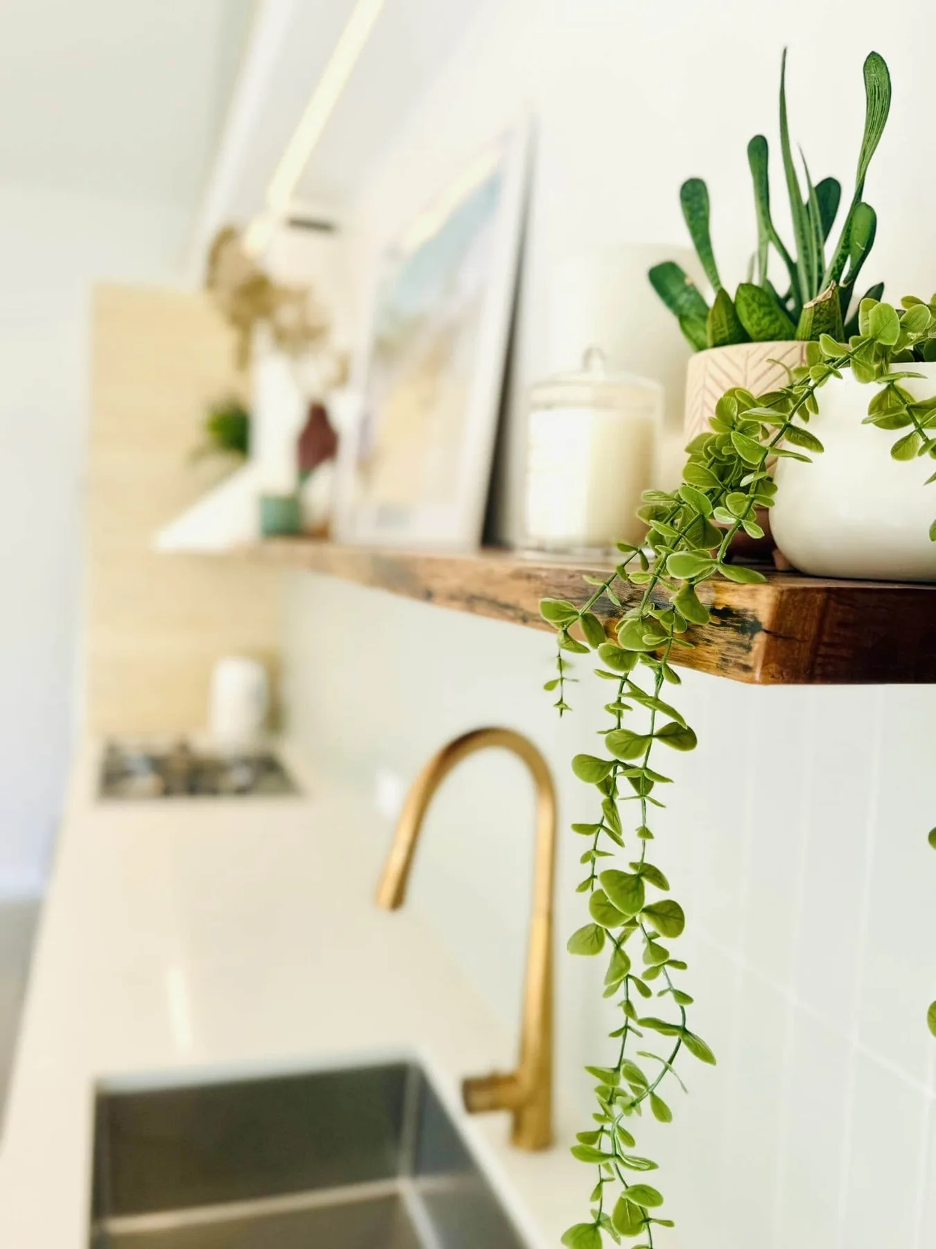 A bright kitchen sink area with a gold-colored faucet and trailing plant.