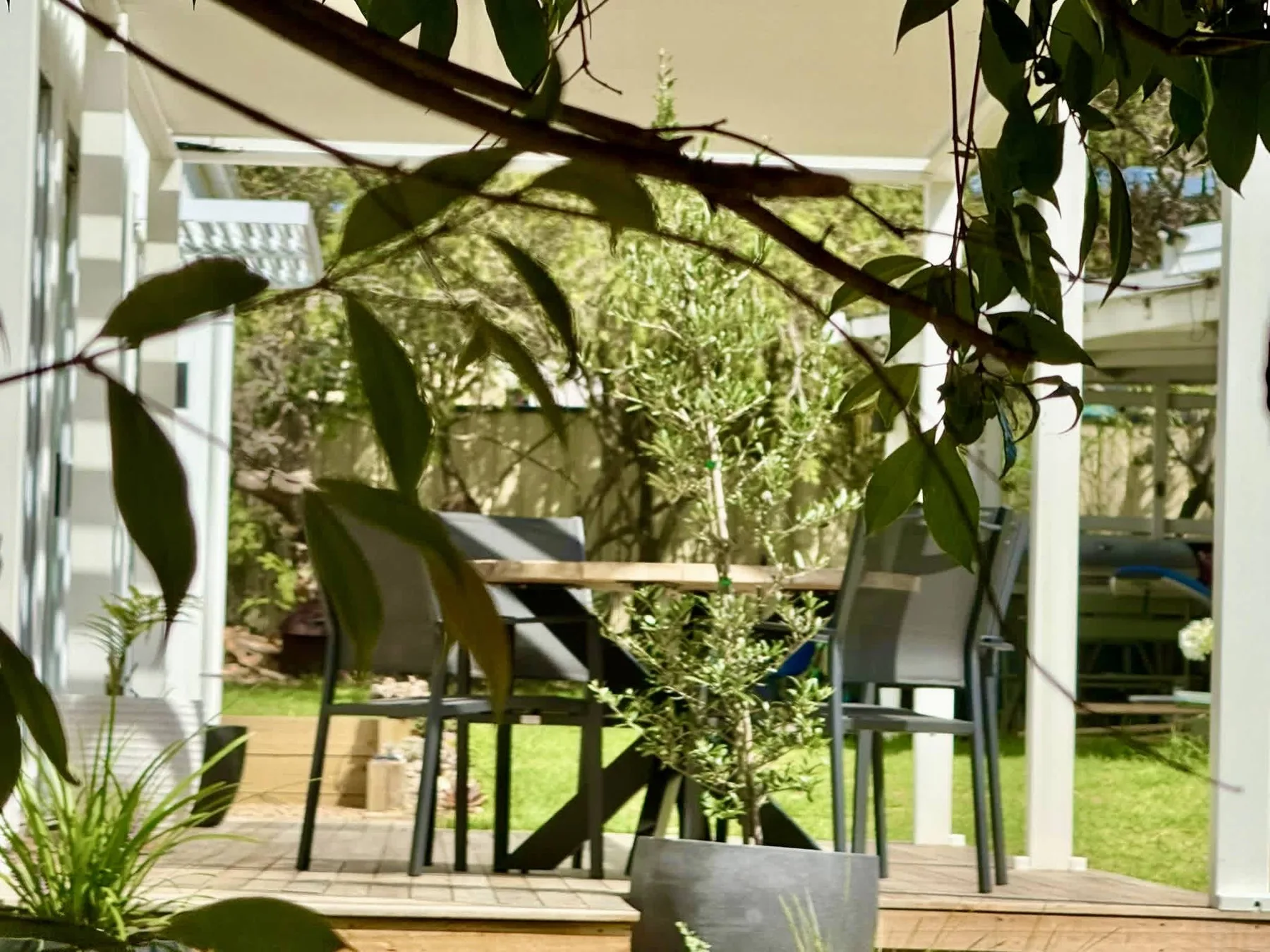 A patio seating area overlooks a garden, with leafy branches above.
