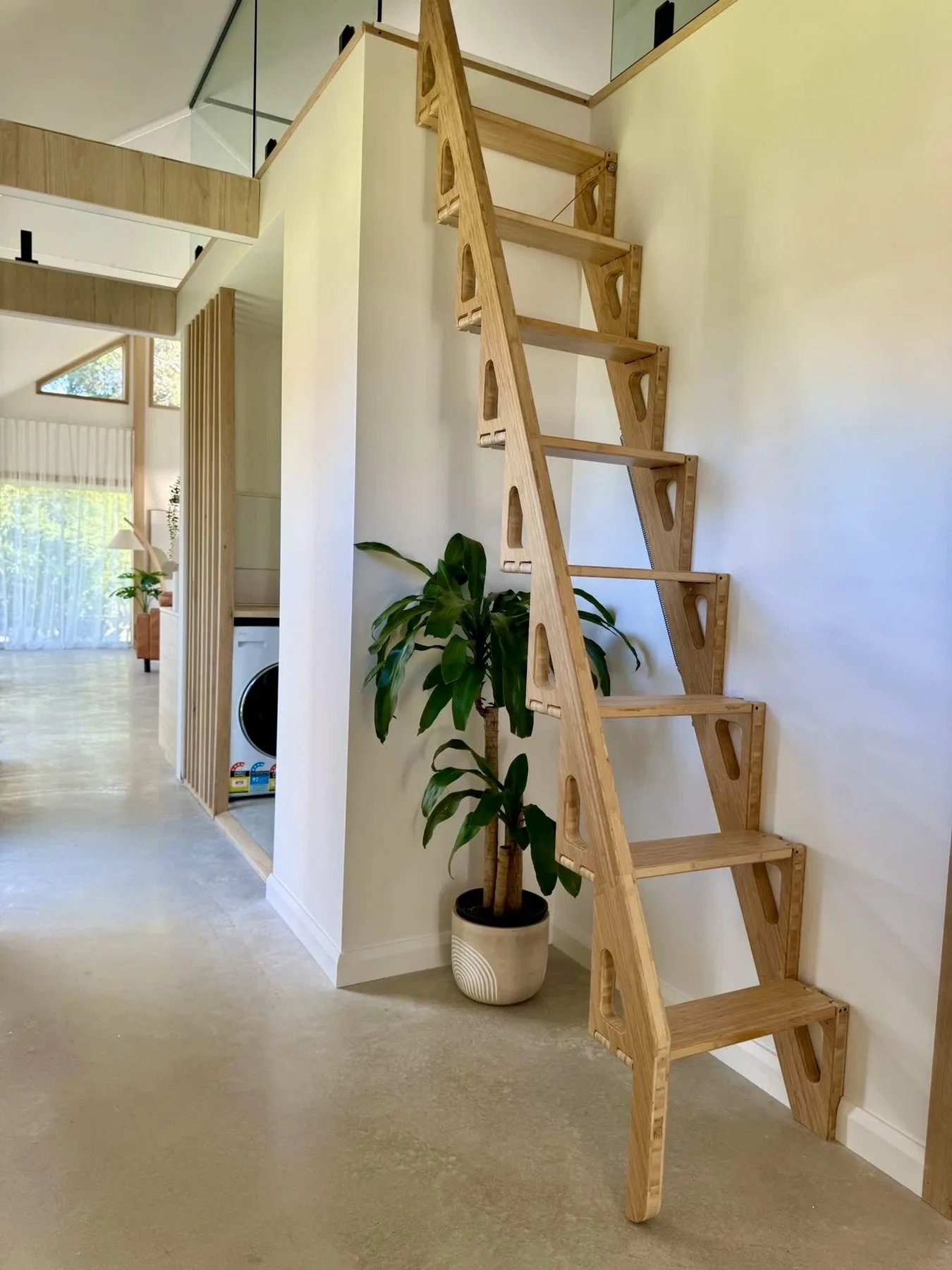 A bright interior hallway with a wooden ladder-style staircase and a potted plant.
