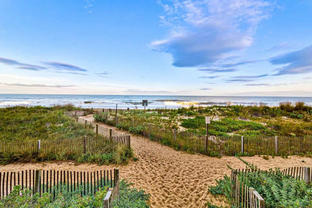 A sandy path crosses coastal dunes toward the ocean under a blue sky.