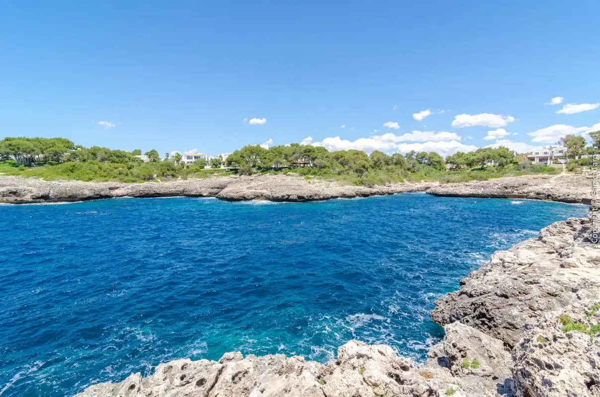 A rocky cove with clear blue water and greenery along the shore.