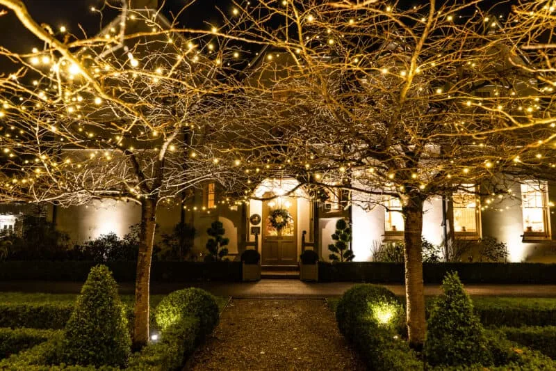 Navidad en Grove