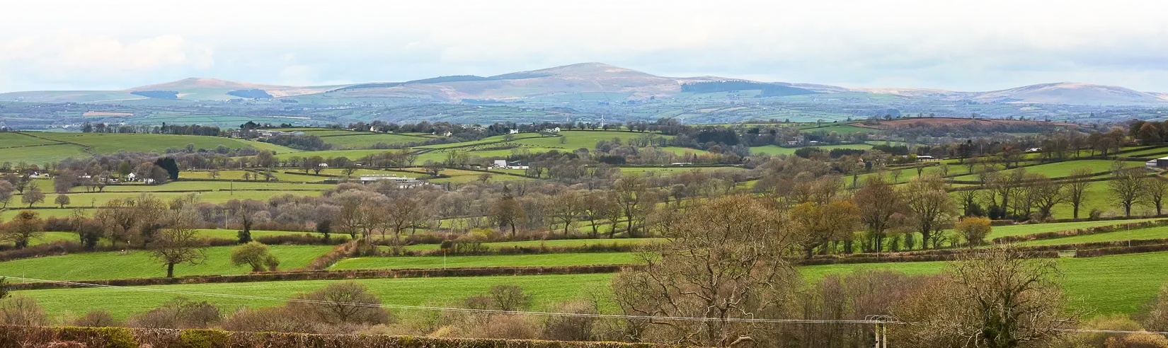 Vista al campo