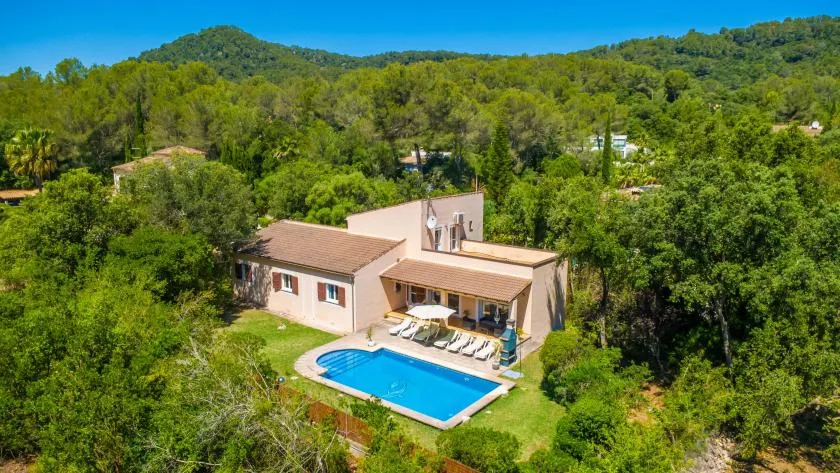 A house with a blue swimming pool sits among green trees.