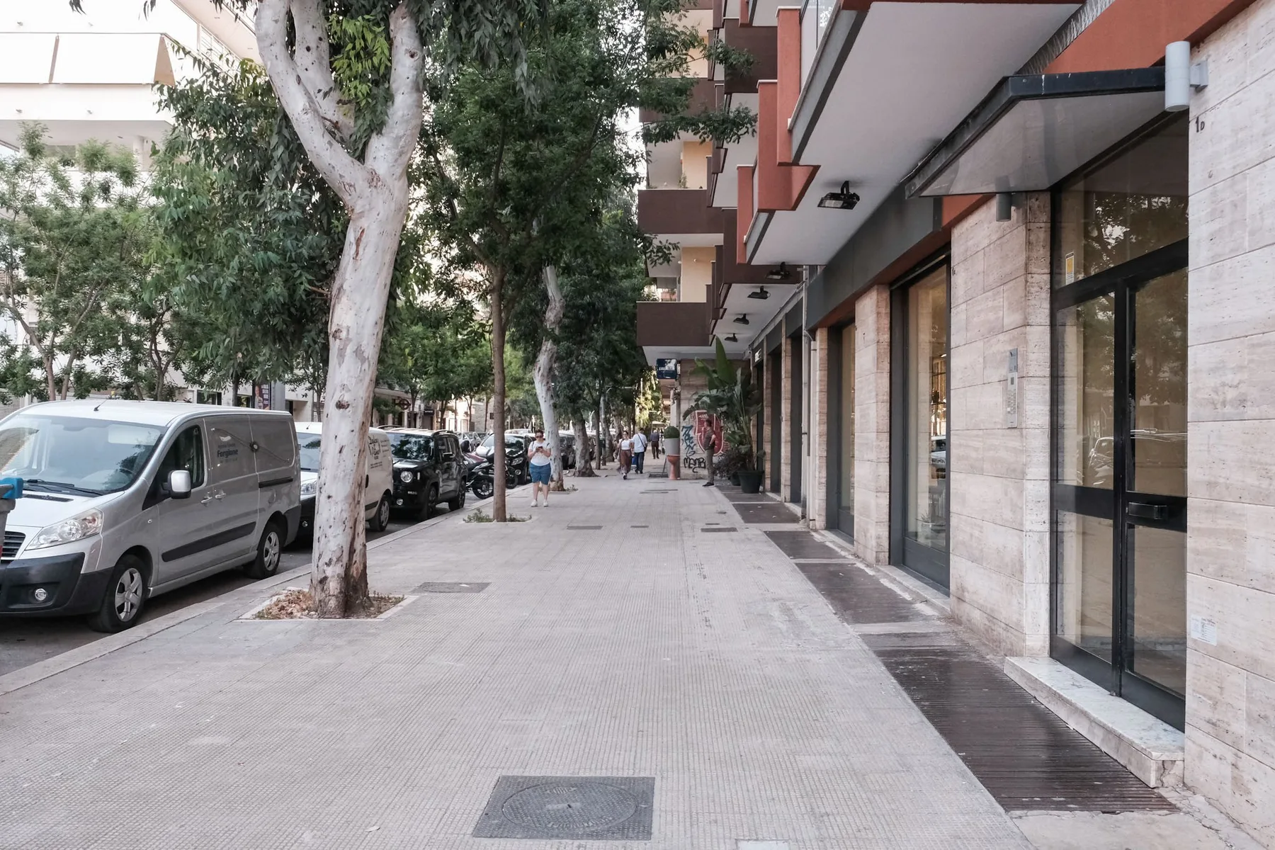 A tree-lined city sidewalk runs beside storefronts and parked vehicles.