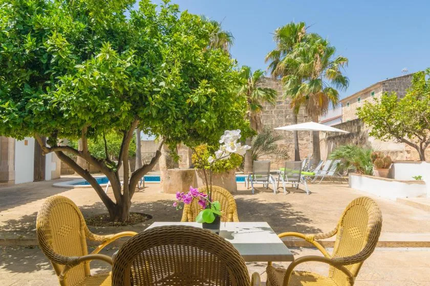 Un patio soleado tiene asientos de mimbre alrededor de una mesa bajo árboles frondosos.