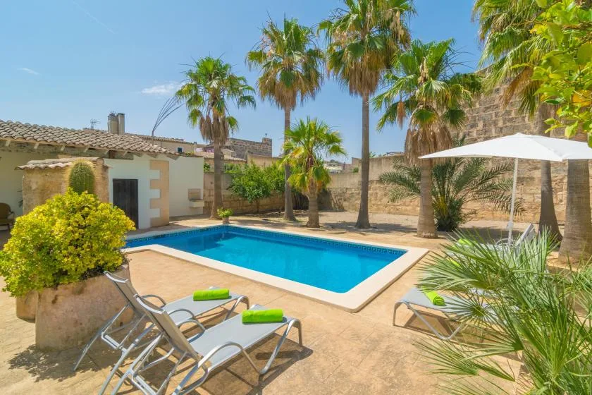 A sunny outdoor pool area with palm trees and lounge chairs.