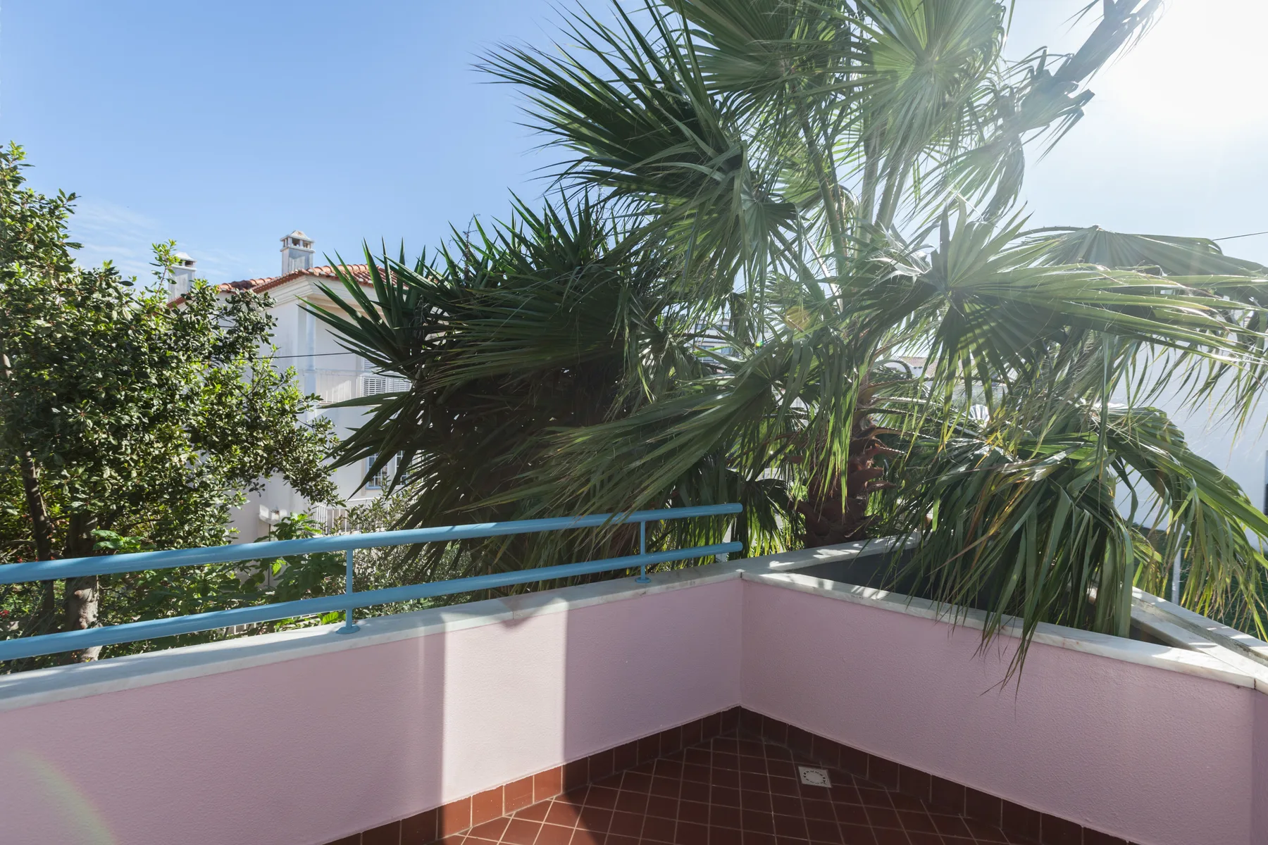 A sunlit outdoor terrace with a tiled floor, low walls, and palm trees.
