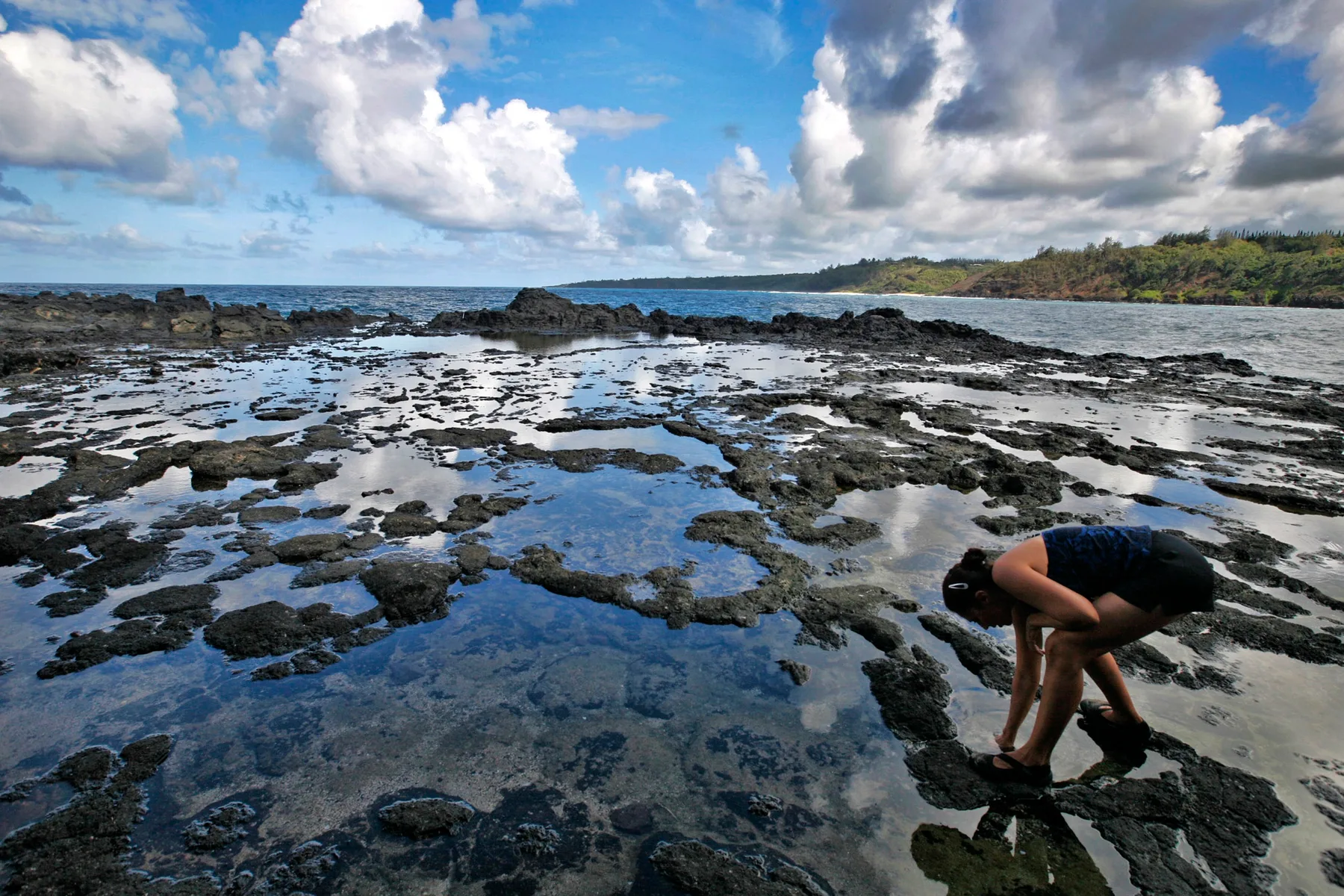 A rocky shoreline with shallow tide pools beneath a cloudy blue sky.