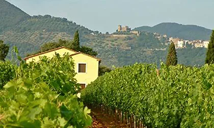 Agricultural property