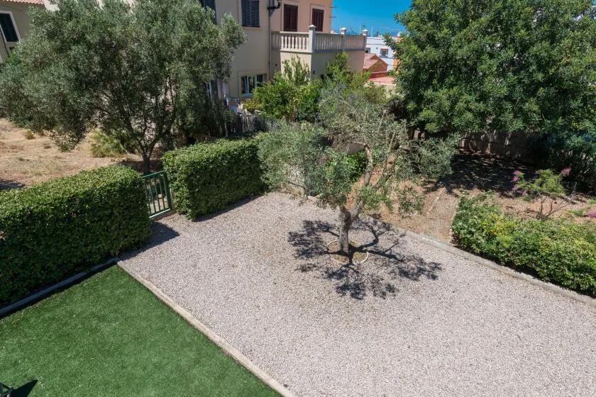 A gravel courtyard with a small tree, hedges, and a patch of lawn.