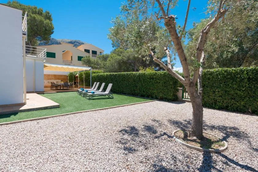 An outdoor patio and gravel yard with loungers beside a leafy tree.