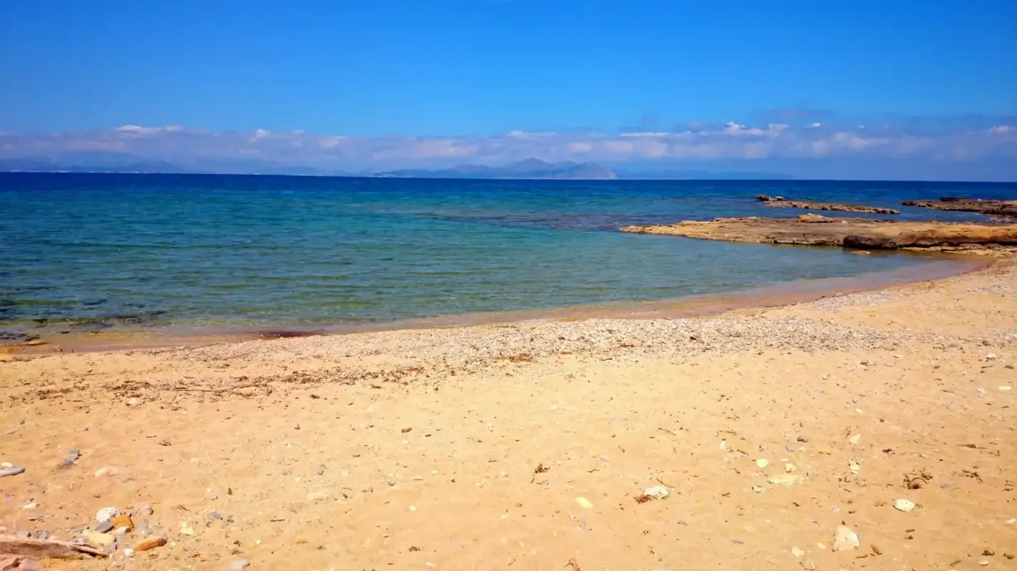 A sandy beach meets calm blue-green water beneath a clear sky.