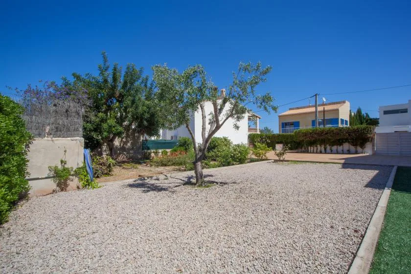 A gravel yard with a tree, shrubs, and buildings in the background.