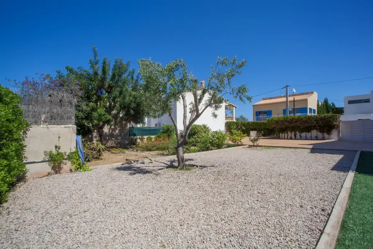 A gravel courtyard with a tree and several buildings in the background.